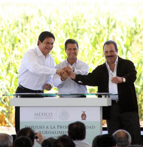 Rene Produce 